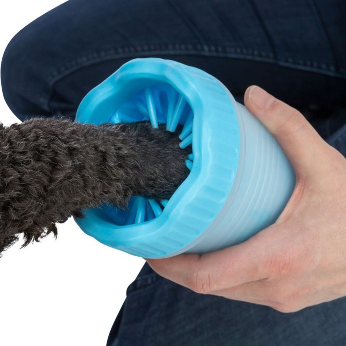 Medium Blå Poterenser til hund 