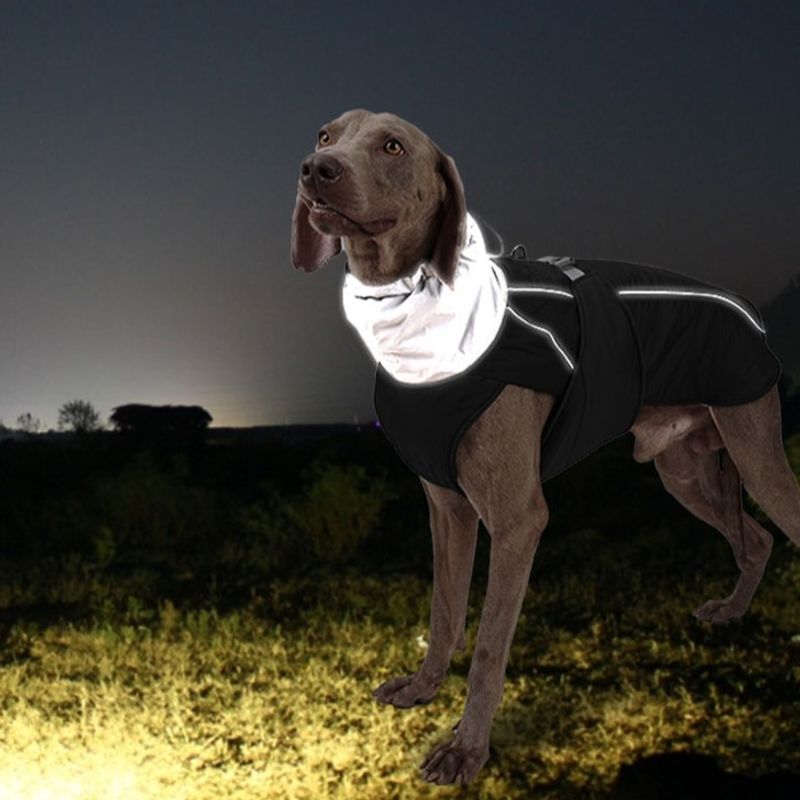 Militærgrønt vannavvisende varmt hundedekken med refleks