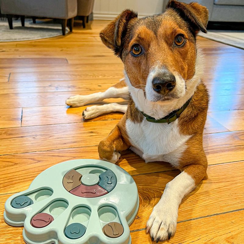 Rosa pote hjernetrim for hund - Aktivitetsleke for mental trening