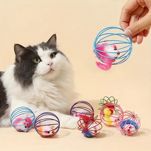 Hovedbilde Katteleke: Pelsmus i ballbur