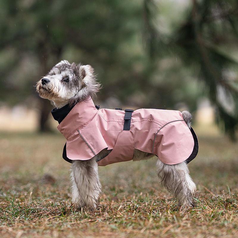 Rosa hundedekken - vann og vindtett
