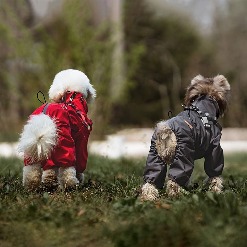 Grå fire-bens overall til hund, hundedress som er vann- og vindtett