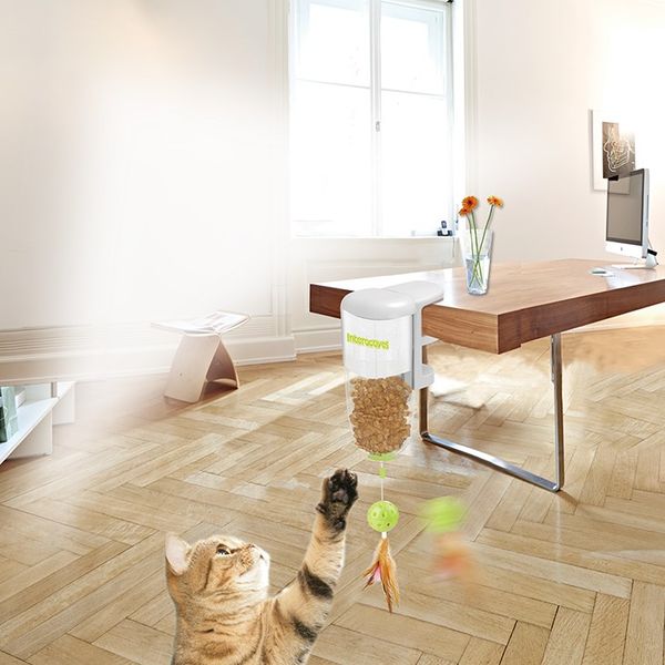 Hovedbilde Interaktiv snack dispenser for katter